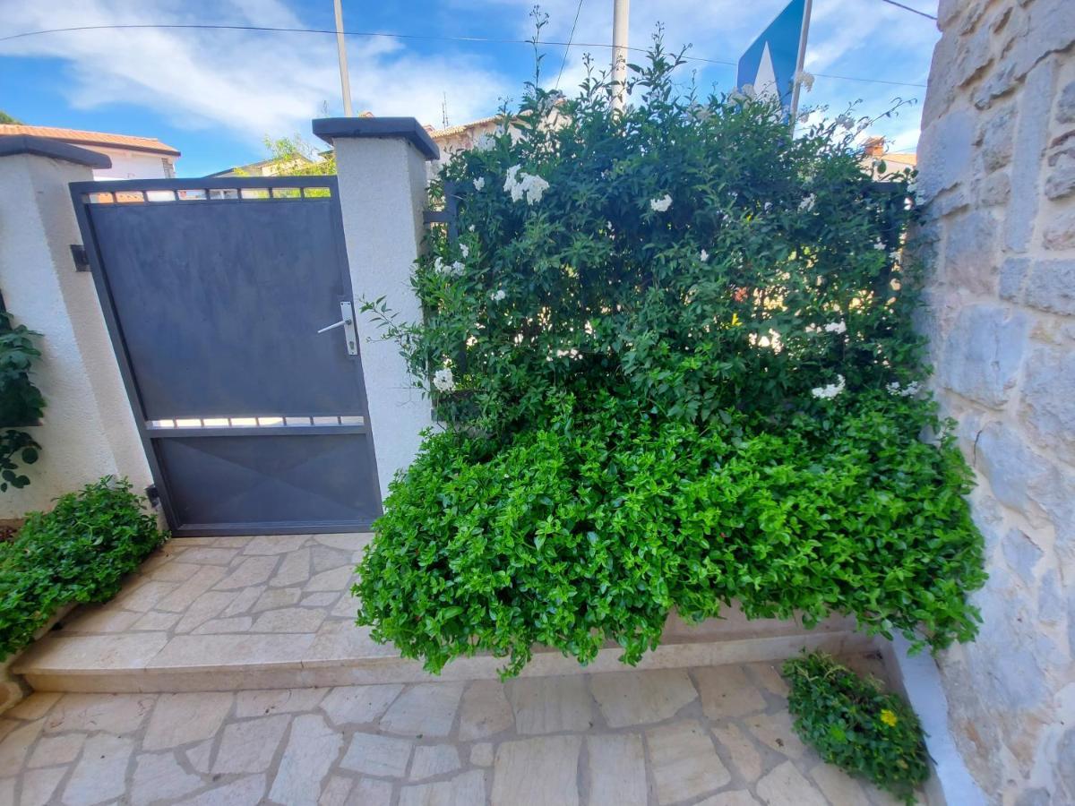 Villa Zita Porec Ngoại thất bức ảnh