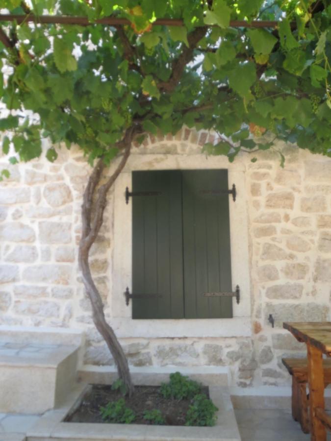 Villa Zita Porec Ngoại thất bức ảnh